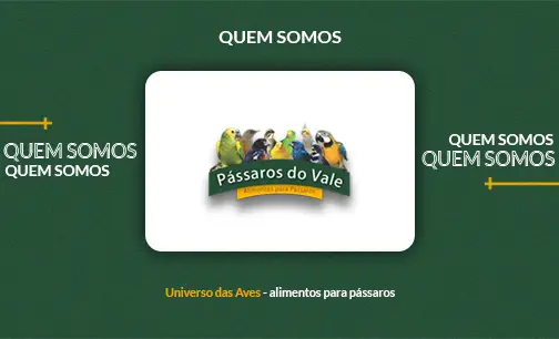 banner-logo-quem-somos-passaros-do-vale