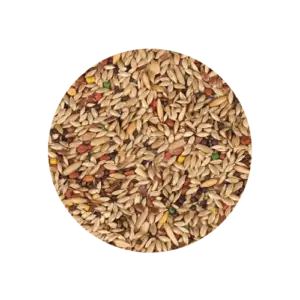 Mistura Canário do reino