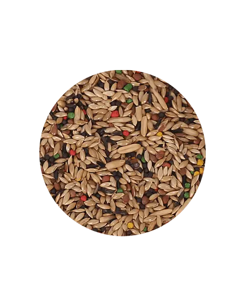 Mistura canário equilíbrio Mistura canário equilíbrio