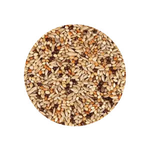 Mistura coleiro criador com mel