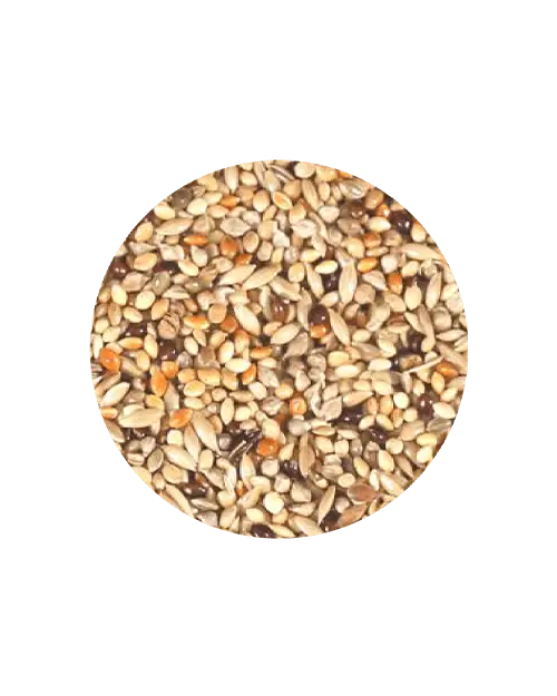 Mistura coleiro premium tui tui Mistura coleiro premium tui tui