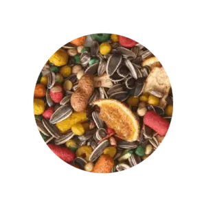 Mistura papagaio bird