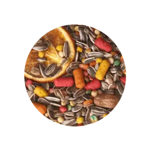 Mistura papagaio premium com frutas